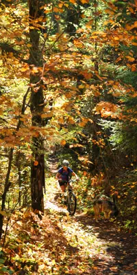woman riding a mountain bike on a trail during the fall