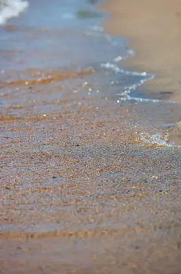 Gentle ripples of water lapping onto sandy shore, with sunlight sparkling on the surface